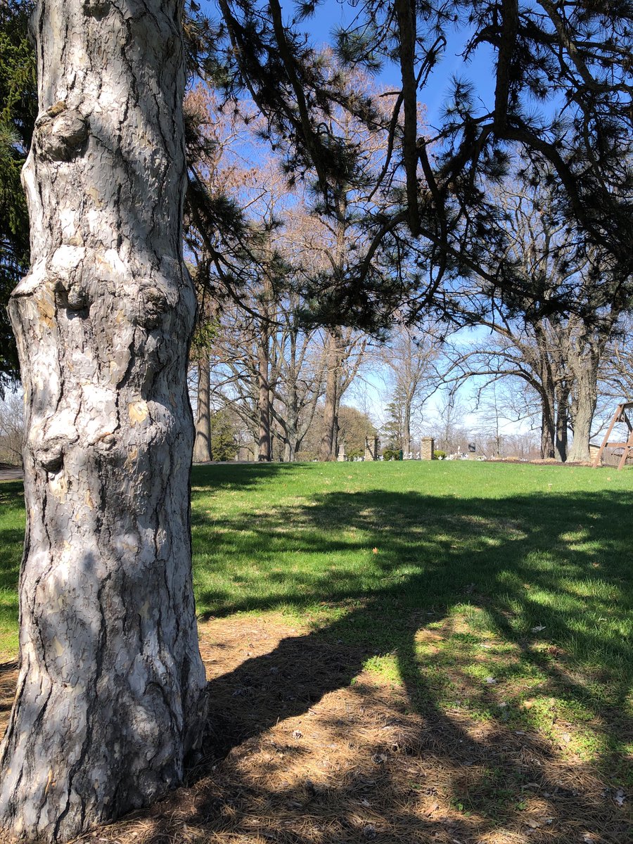 Lavender Dalrymple tweet media