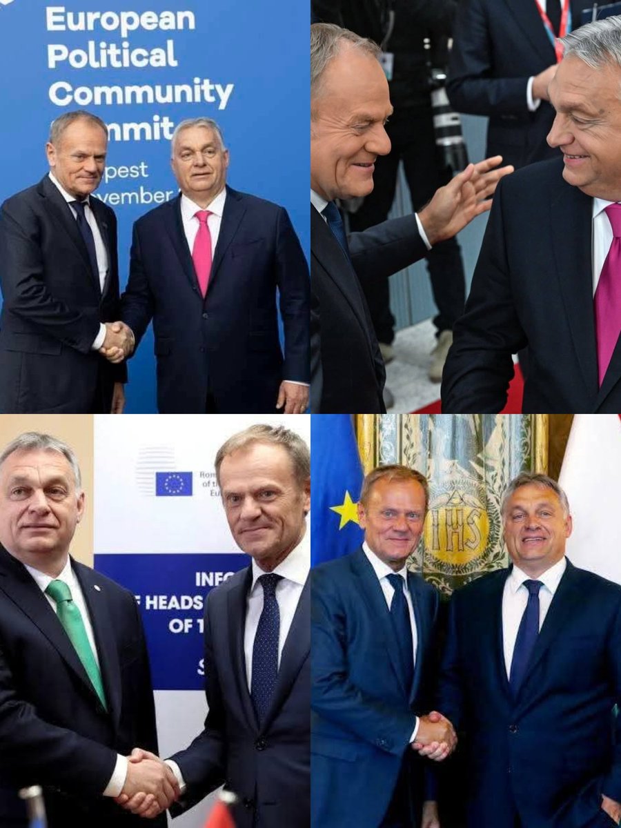 Tusk Vision Network tweet media