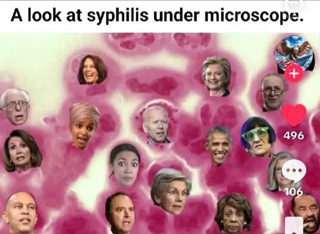 Irish MAGA tweet media