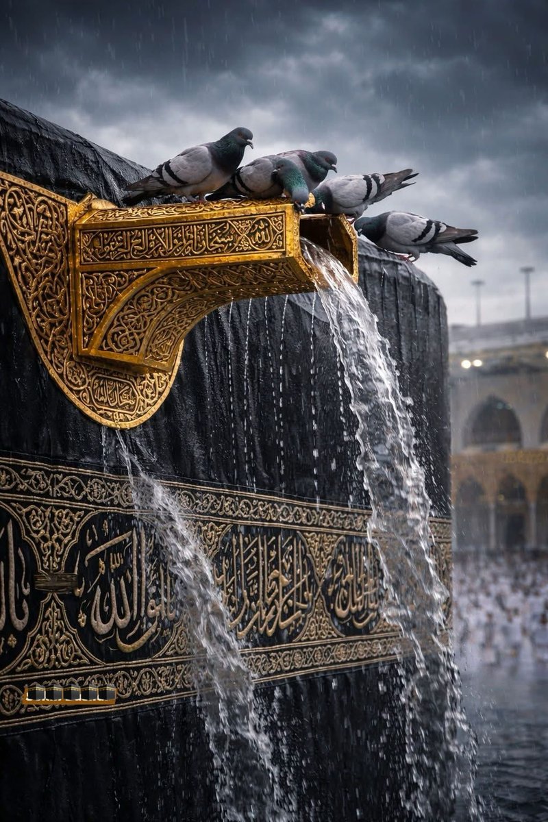 𝑫𝒆𝒎𝒐𝒄𝒓𝒂𝒕 عَـیْنَمّْ☂️ tweet media