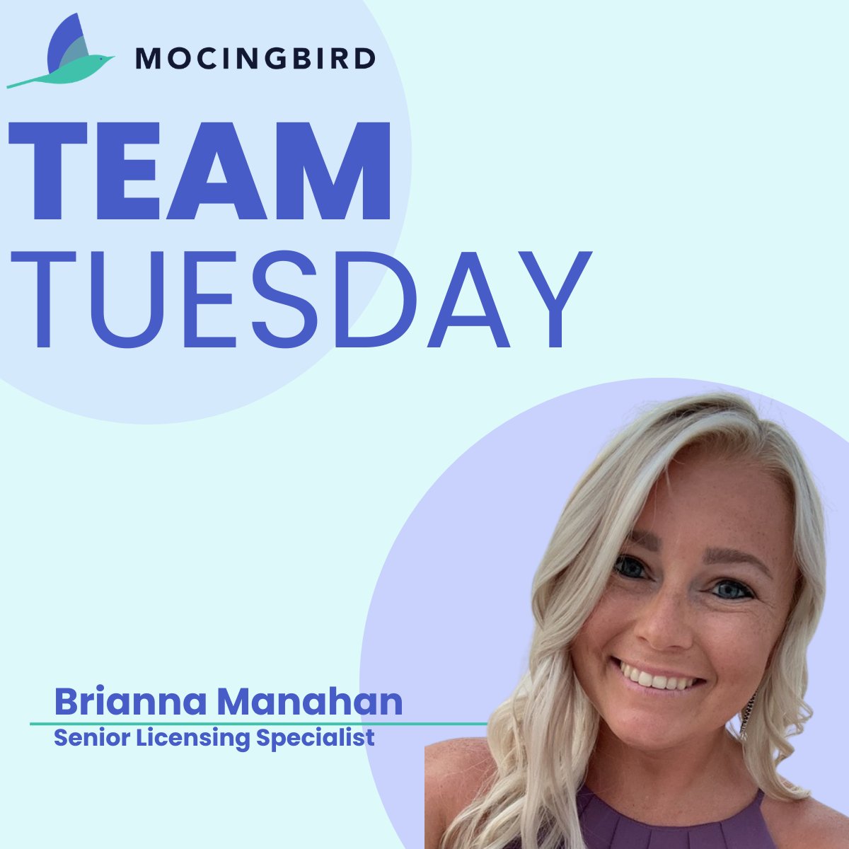 Mocingbird tweet media