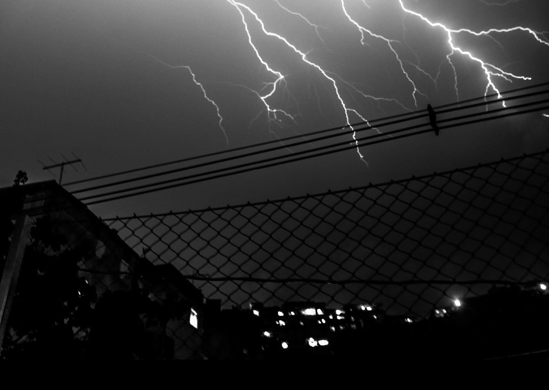 Bel Junqueira tweet media