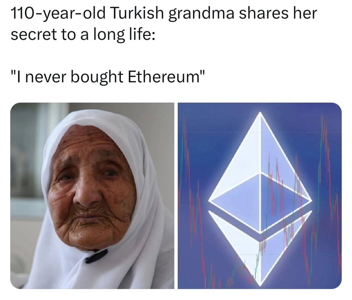 Crypto Memes tweet media