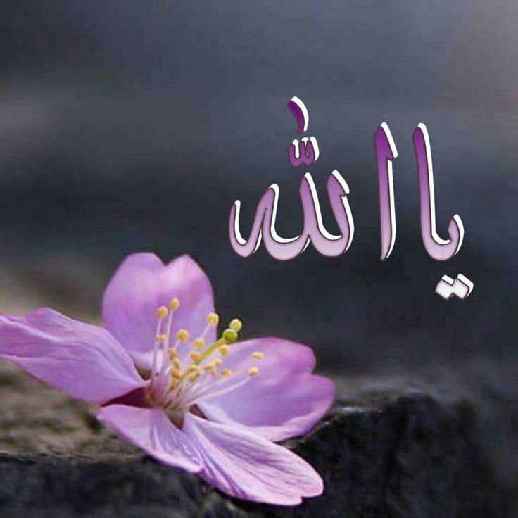 زْھَہّرة | 🦋 💞 tweet media