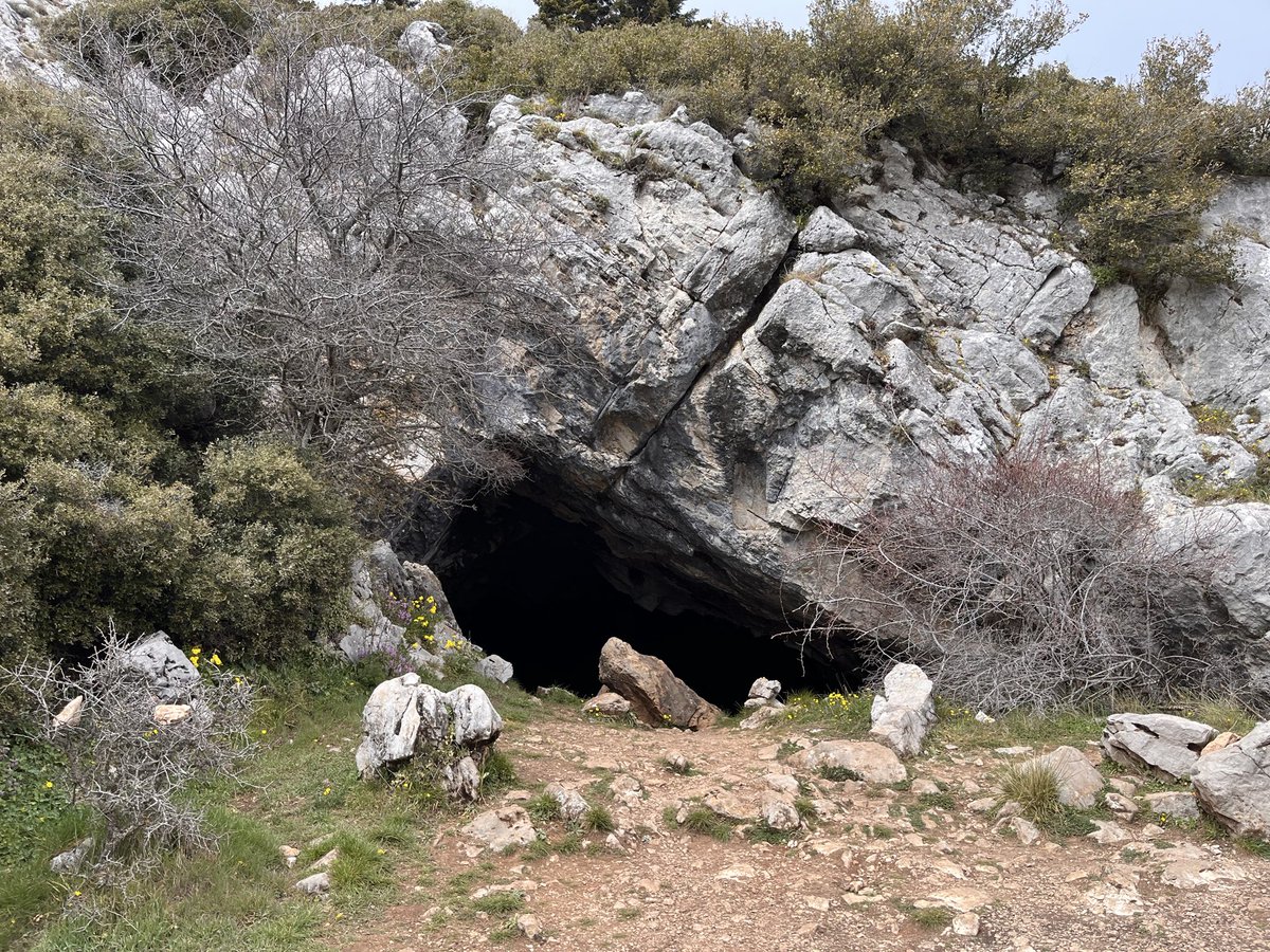 Pymander's ghost tweet media