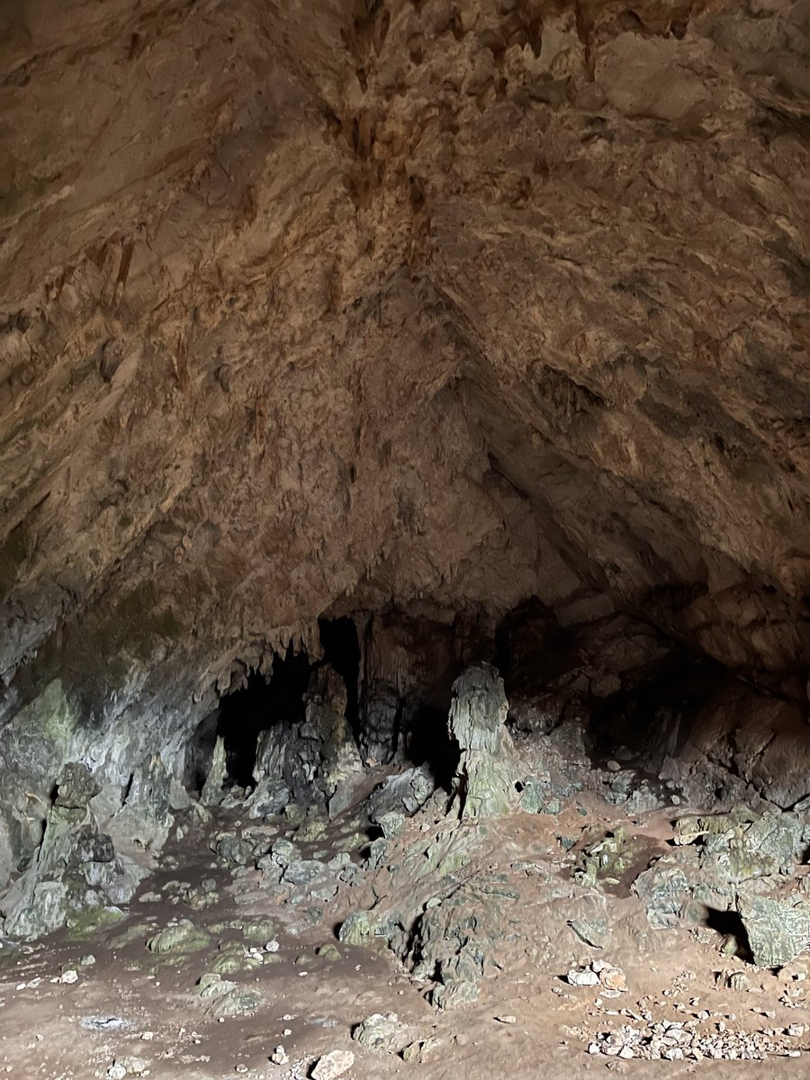 Pymander's ghost tweet media