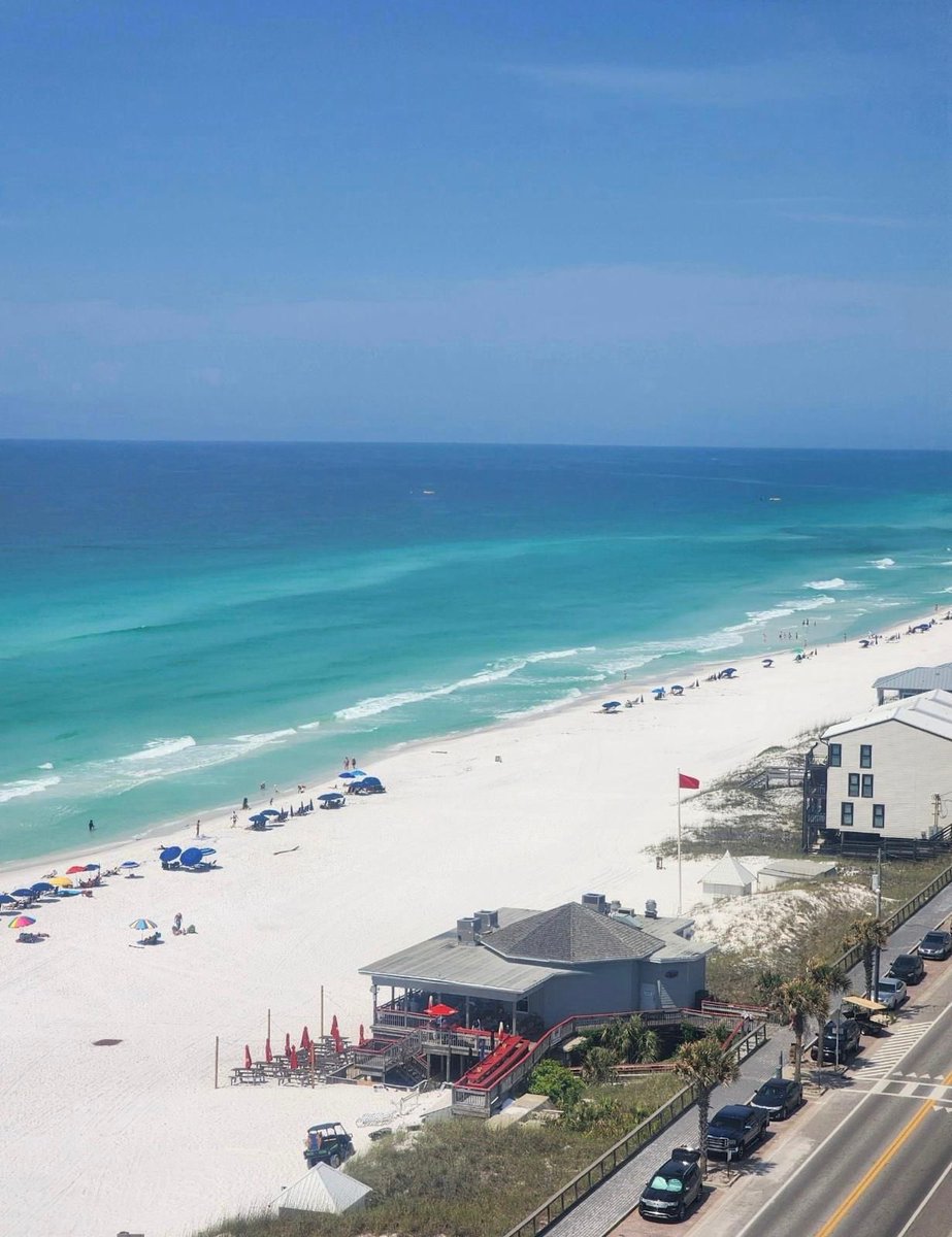 MeghansMole©️ tweet media