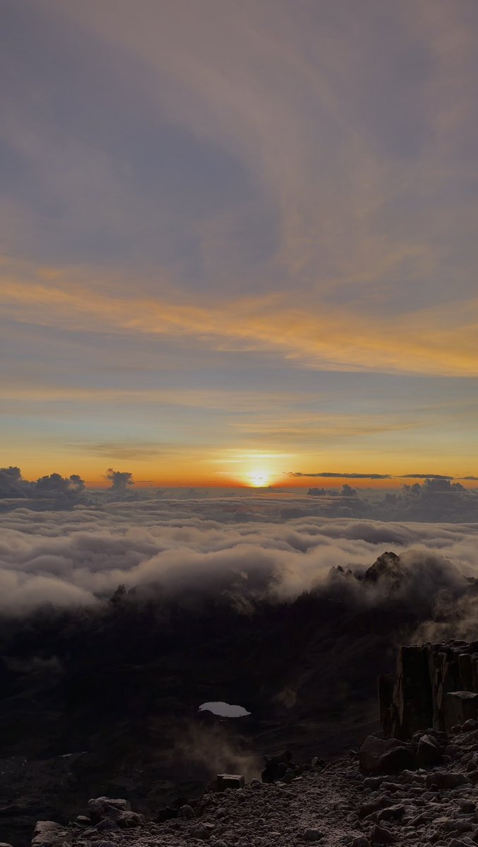 🫶🏾 tweet media