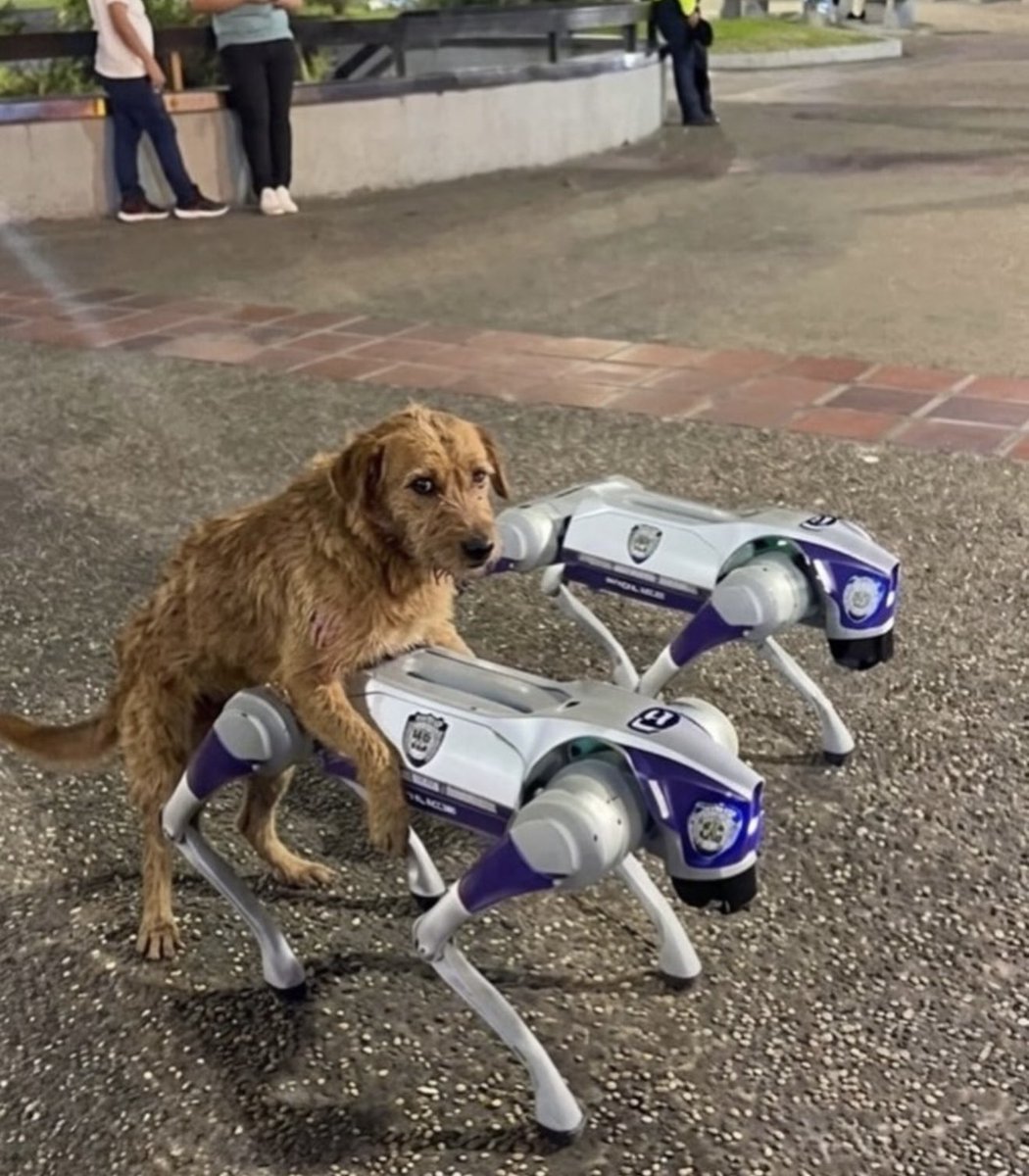 Javierhalamadrid tweet media