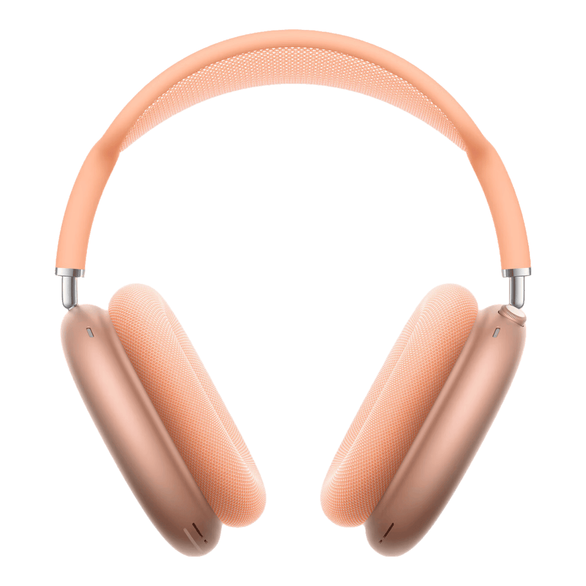 Josh Frost tweet media