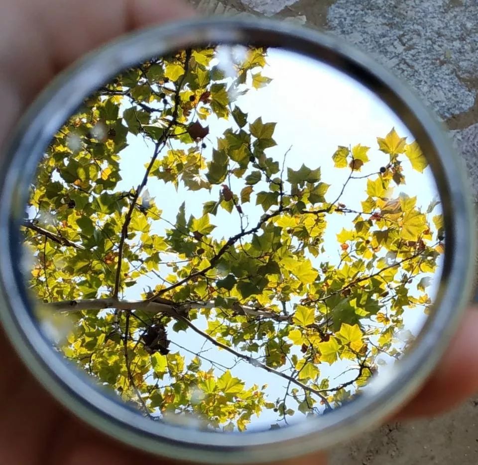 trúc  giang tweet media