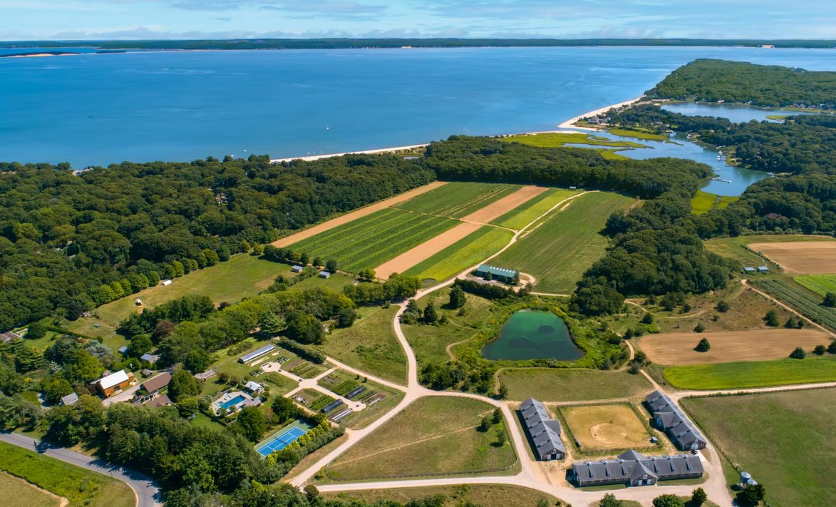 Suffolk Eco Dev tweet media