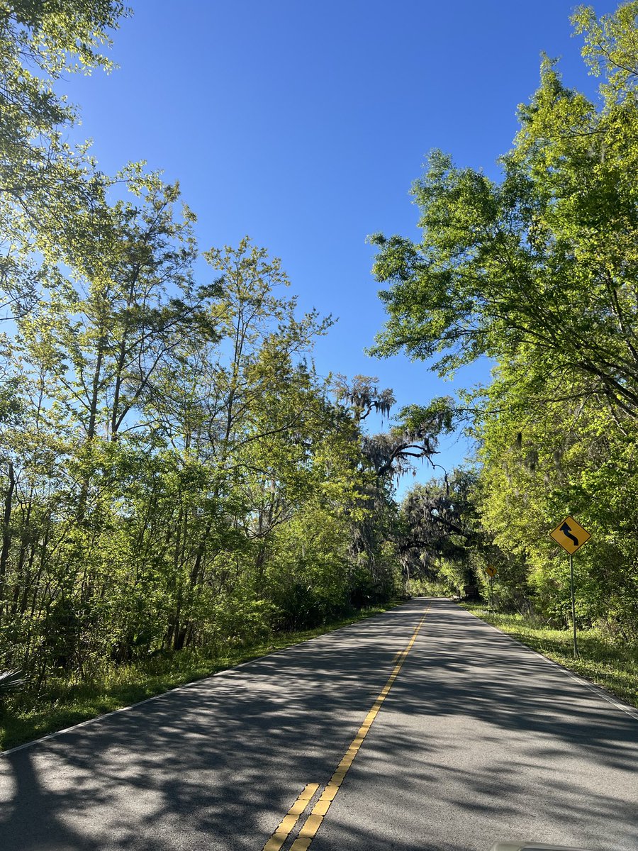 سفيان 🇩🇿 tweet media