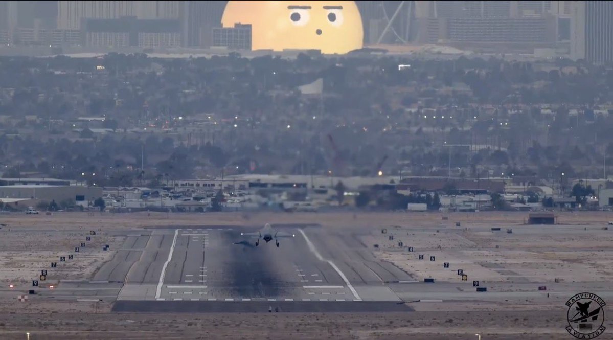 Call me Poyo tweet media