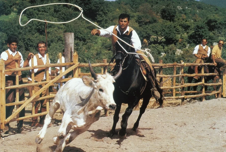 Absinth 🇪🇺🇮🇹🇬🇧 tweet media