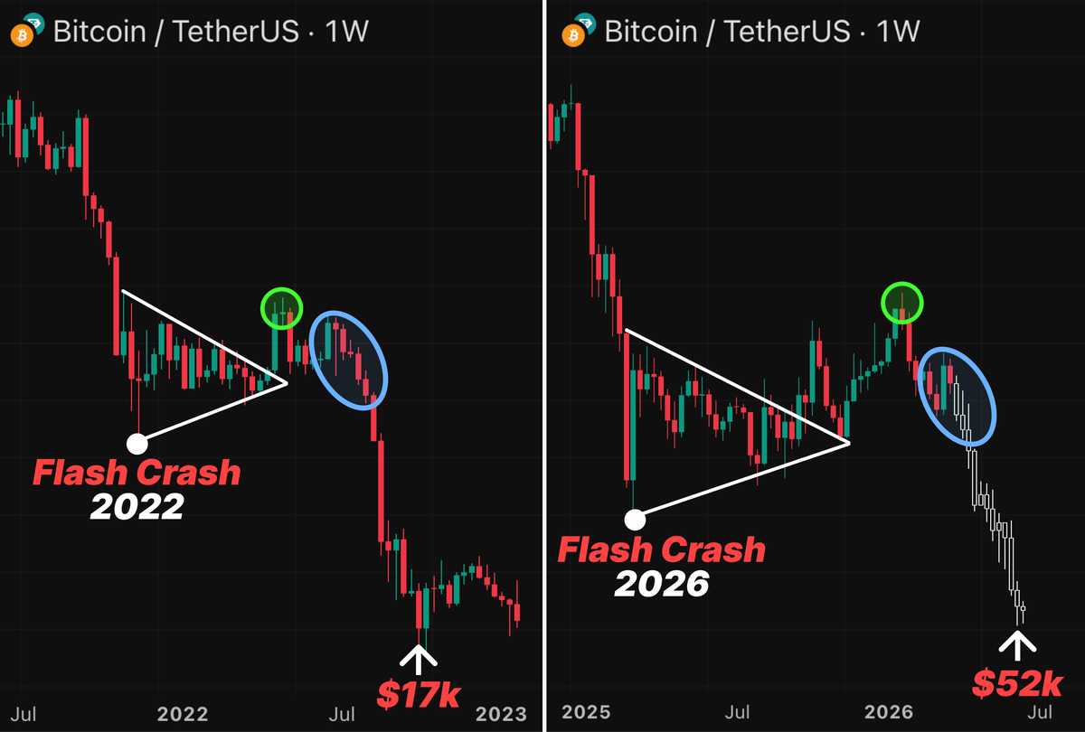 Aralez 🐕 tweet media