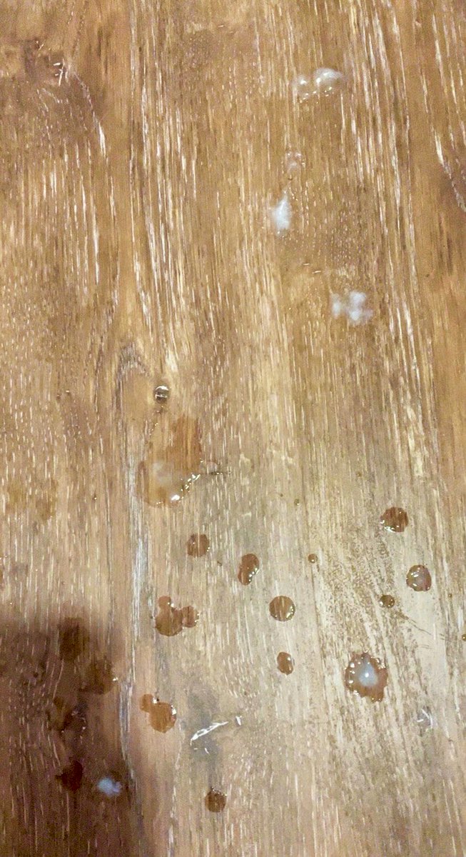 Elijah Kaine tweet media