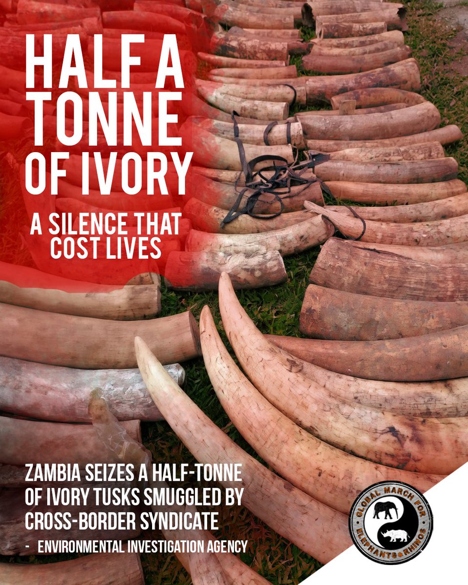 March4ElesAndRhinos tweet media