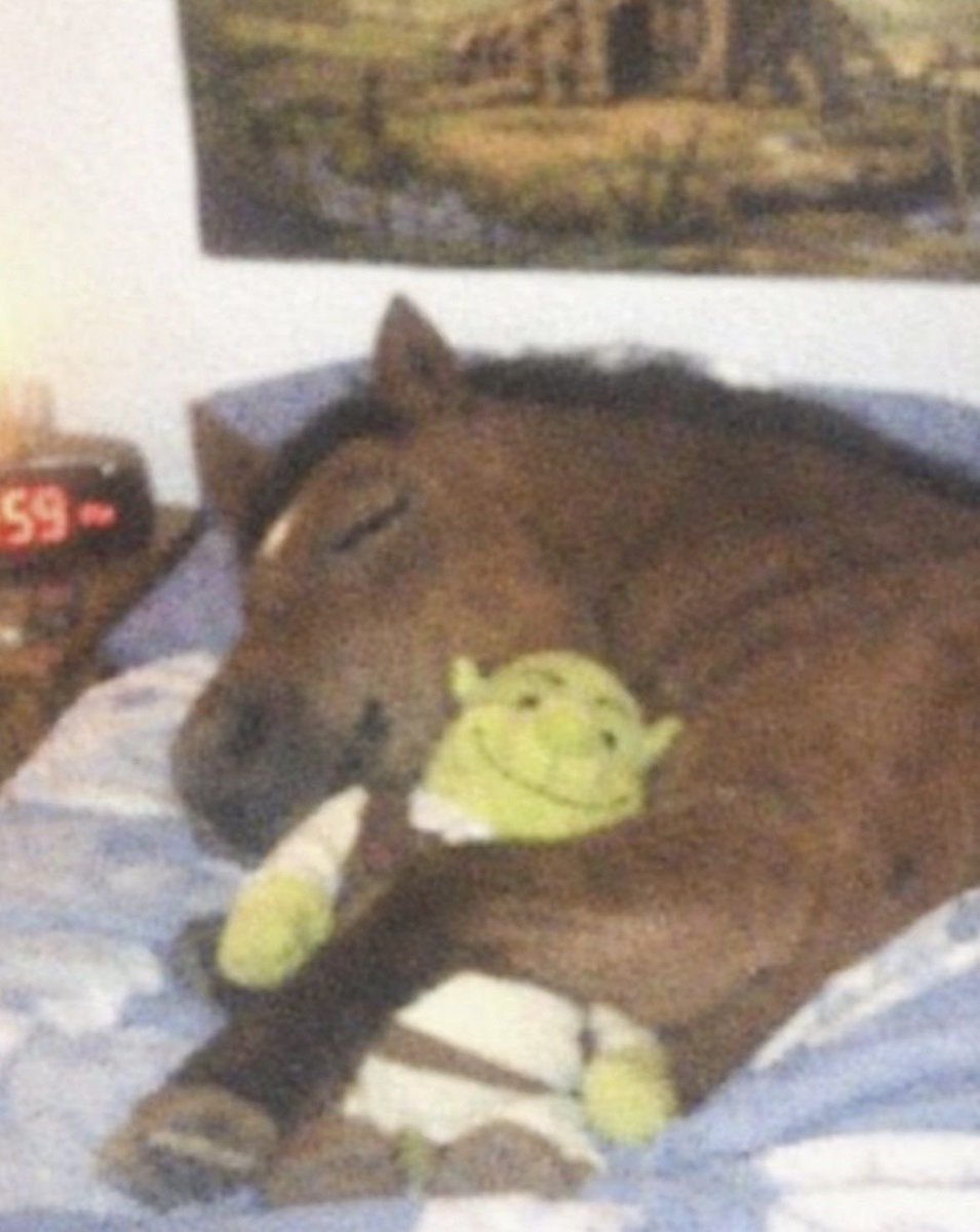 LIQUID | kai0 tweet media