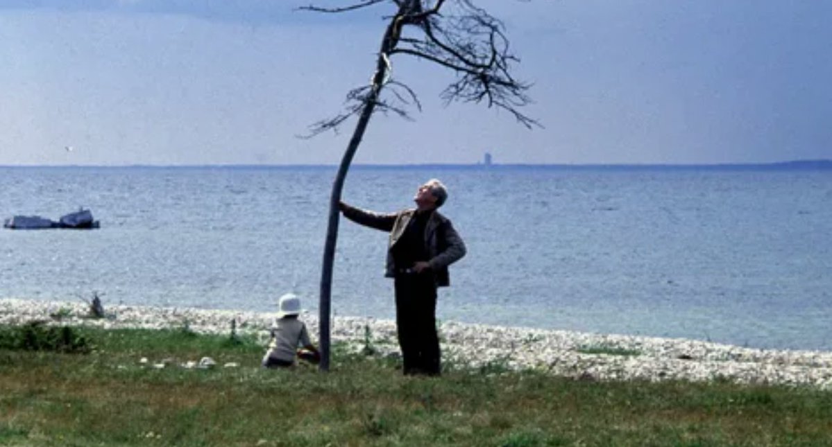 sergey.monyakov tweet media