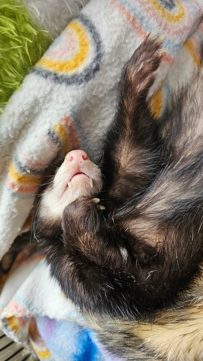 Pirate Software tweet media