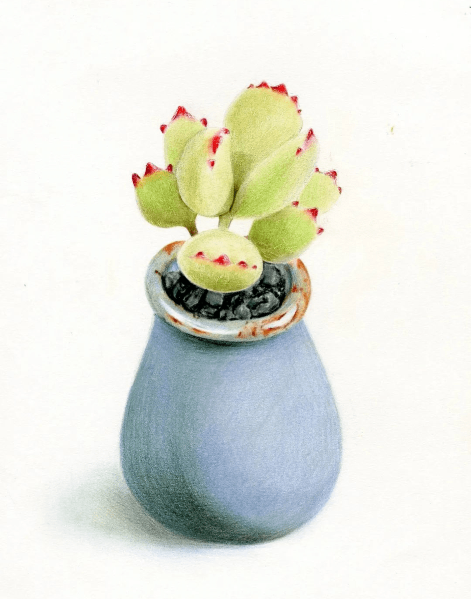 Варя tweet media