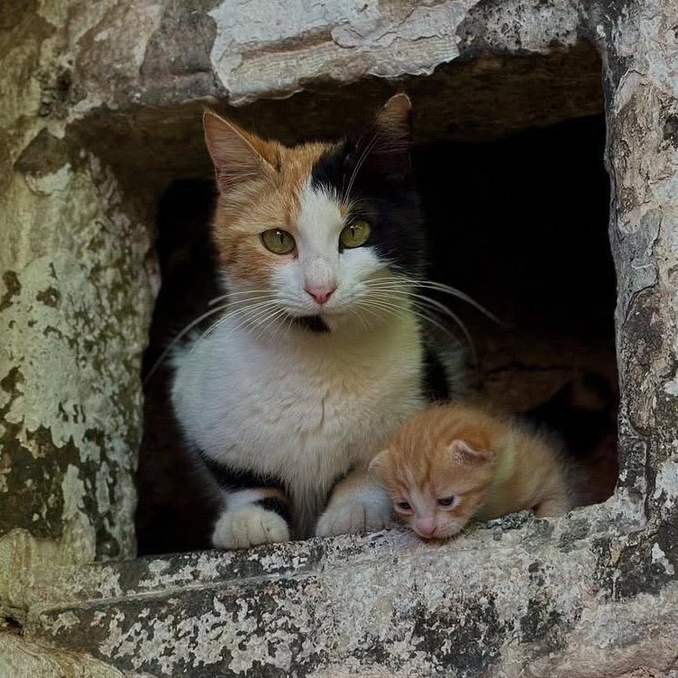 Güzel günlerimiz de olmuştu... tweet media