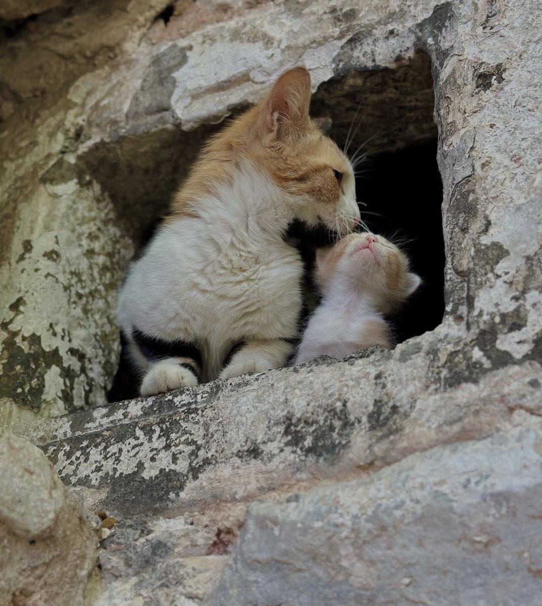 Güzel günlerimiz de olmuştu... tweet media