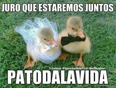 rach🕷️🕊️ tweet media