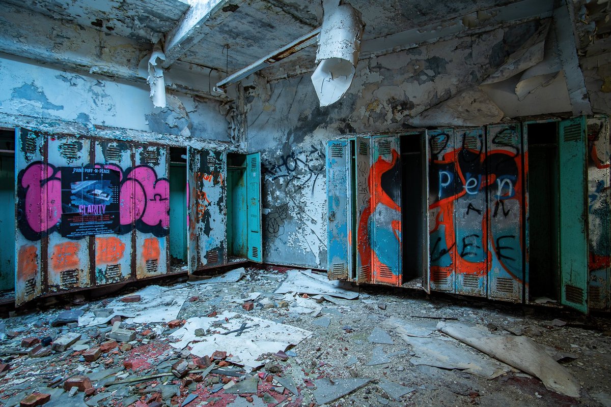 Mr. P. Explores tweet media