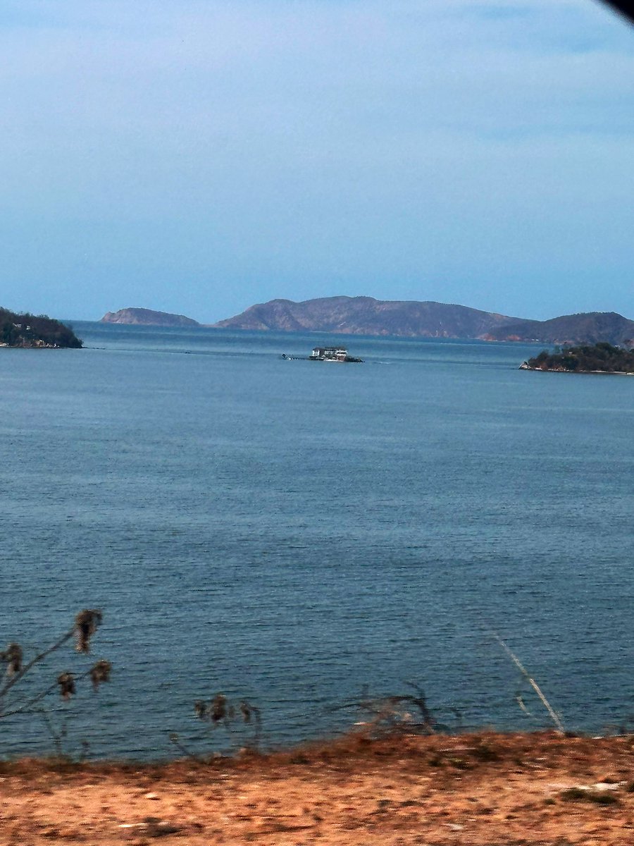 El guaro tweet media