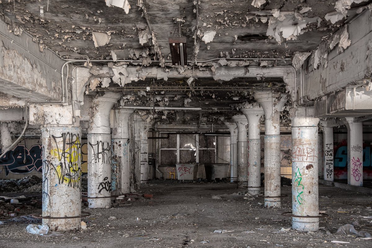 Mr. P. Explores tweet media