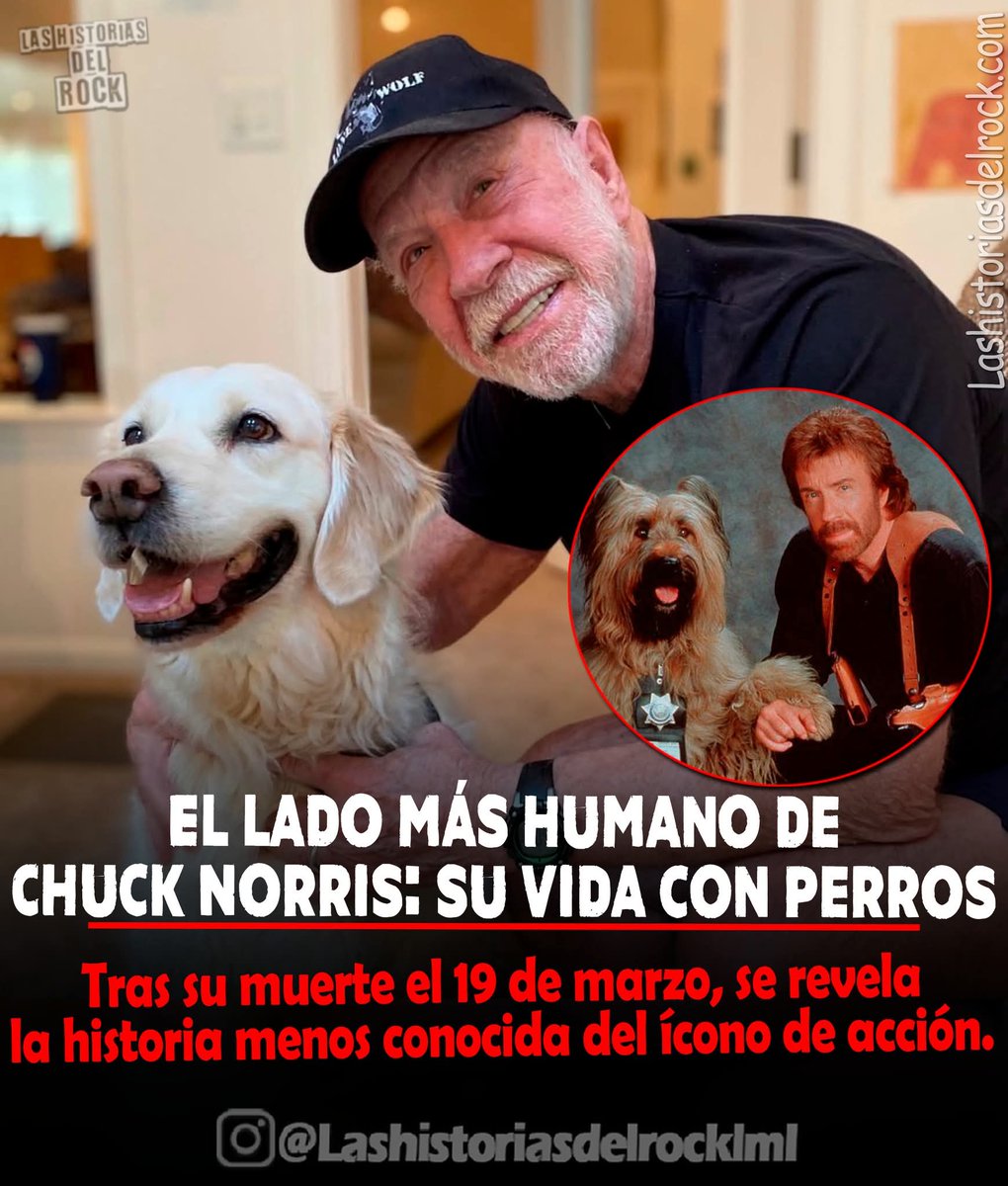 Alfredo Marquez T. tweet media