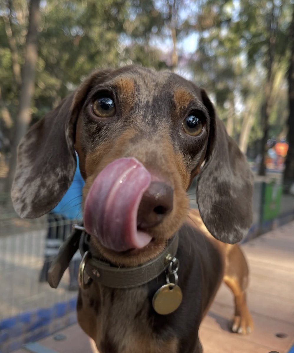 henar🤍 tweet media