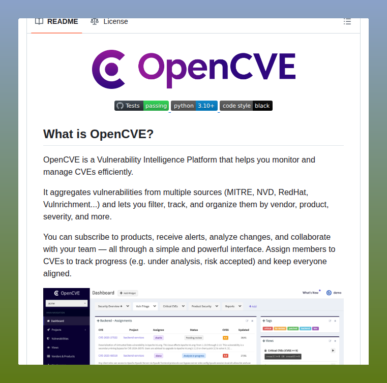 Tom Dörr tweet media