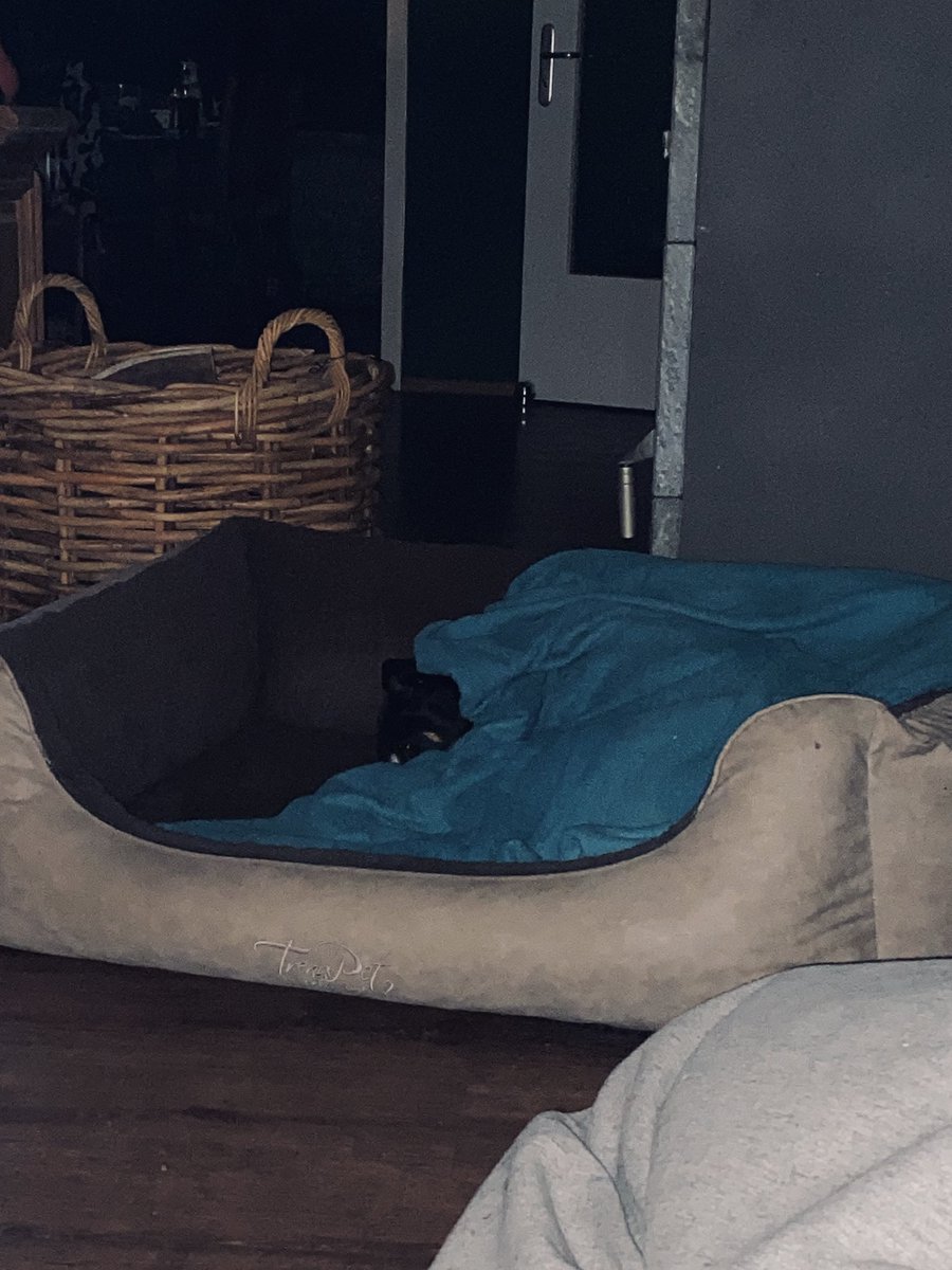 🍓🧇Erdbeerwaffel🍓🧇  tweet media