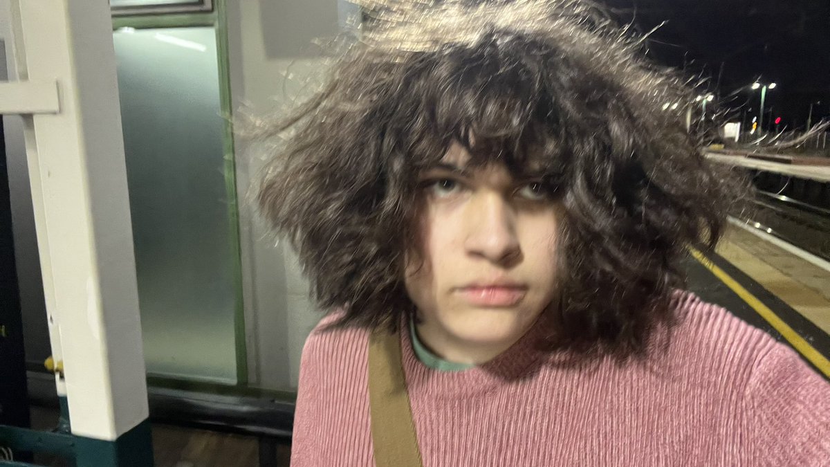 microwave 🐾🦊 tweet media