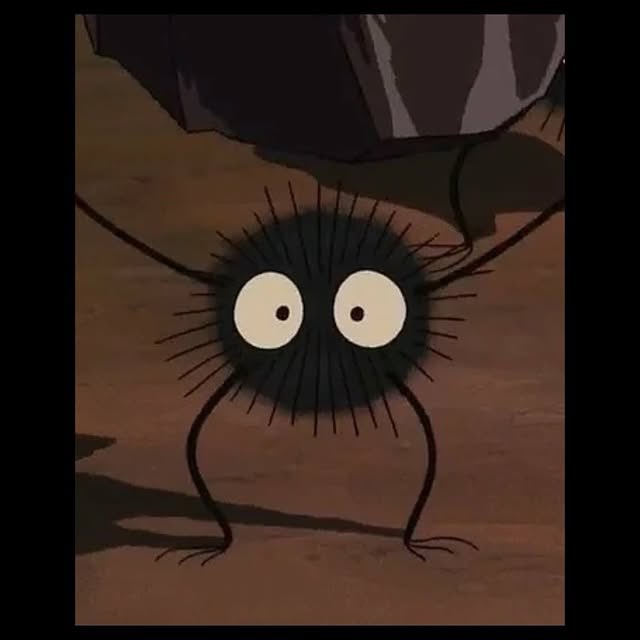 SEOB 📂 tweet media