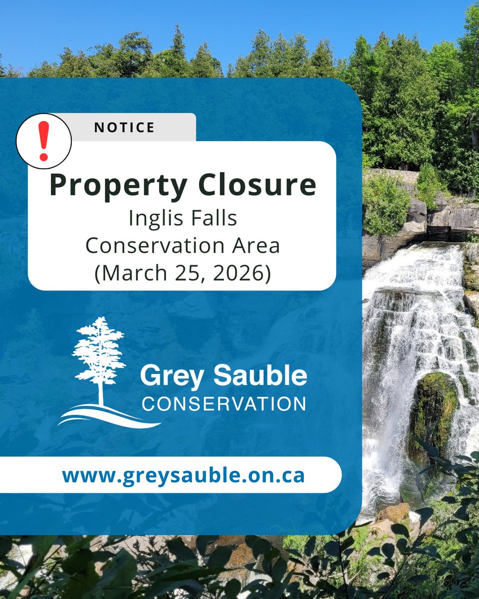 Grey Sauble CA tweet media