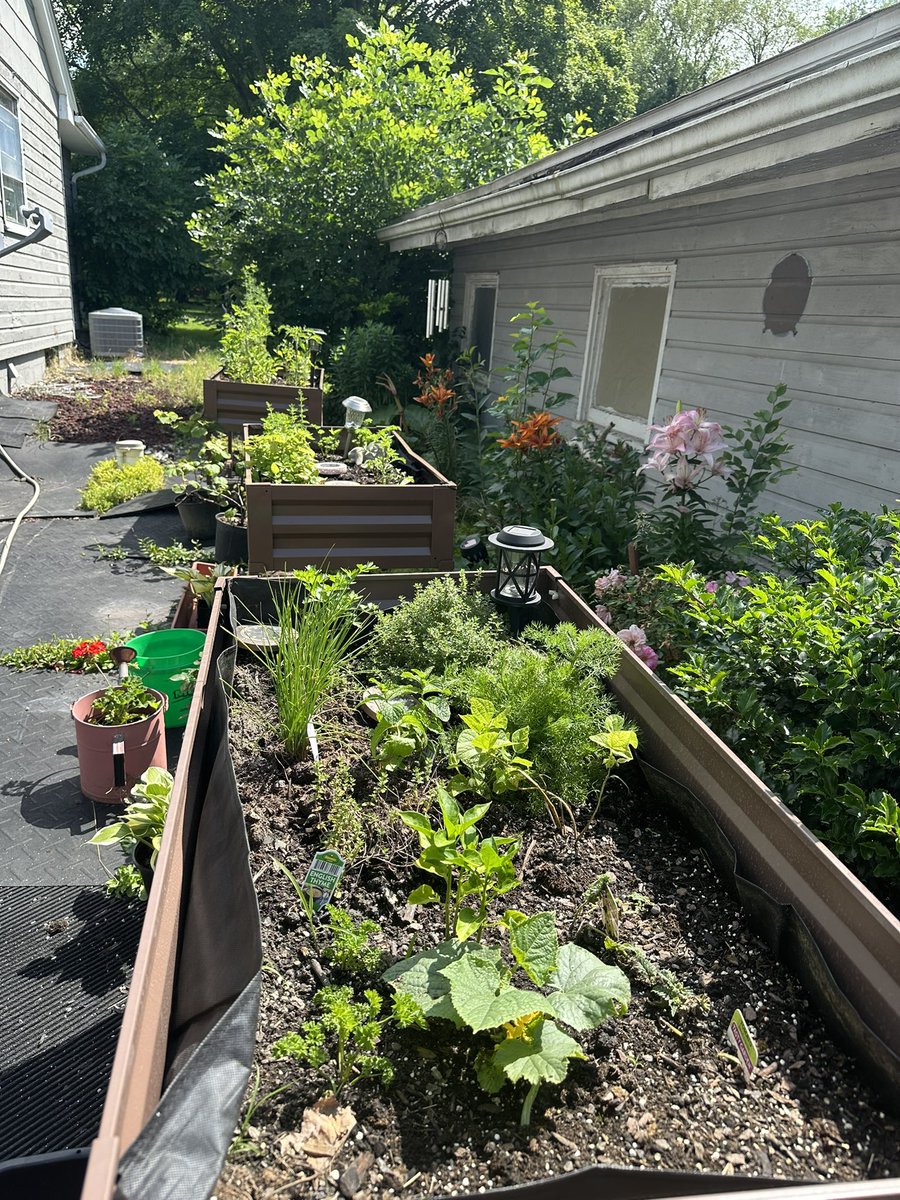 Court ✨ tweet media