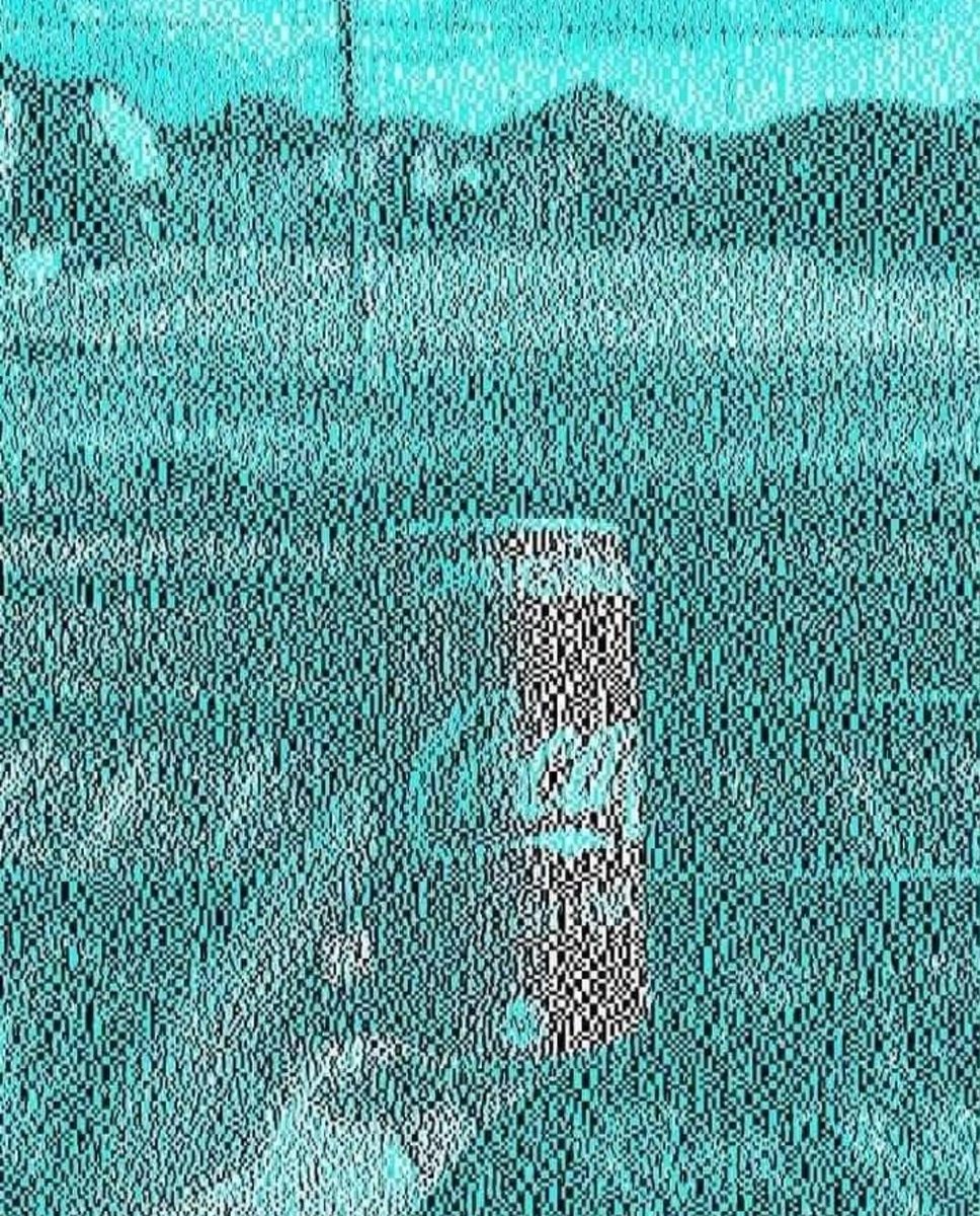 Tom Thompson🛸 (ＣＯＲＴＥＸ ＺＥＲＯ) tweet media