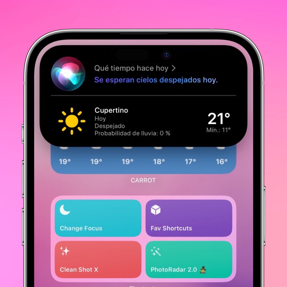 Fran Besora tweet media