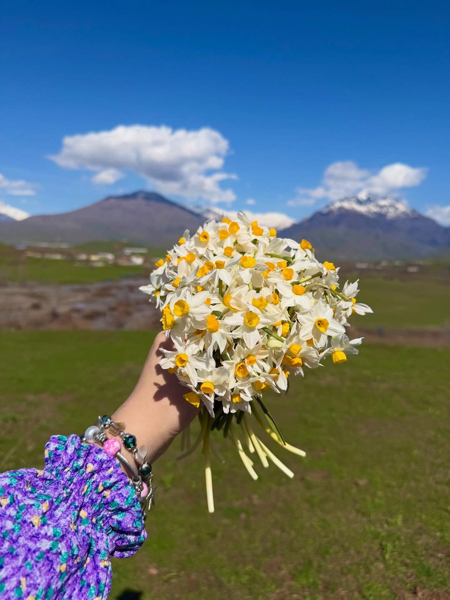 Kurdistan ⁦☀️ كوردستان tweet media