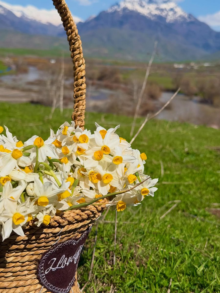 Kurdistan ⁦☀️ كوردستان tweet media