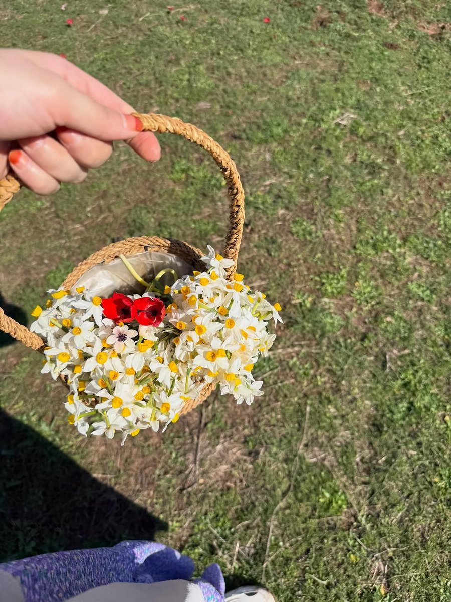 Kurdistan ⁦☀️ كوردستان tweet media