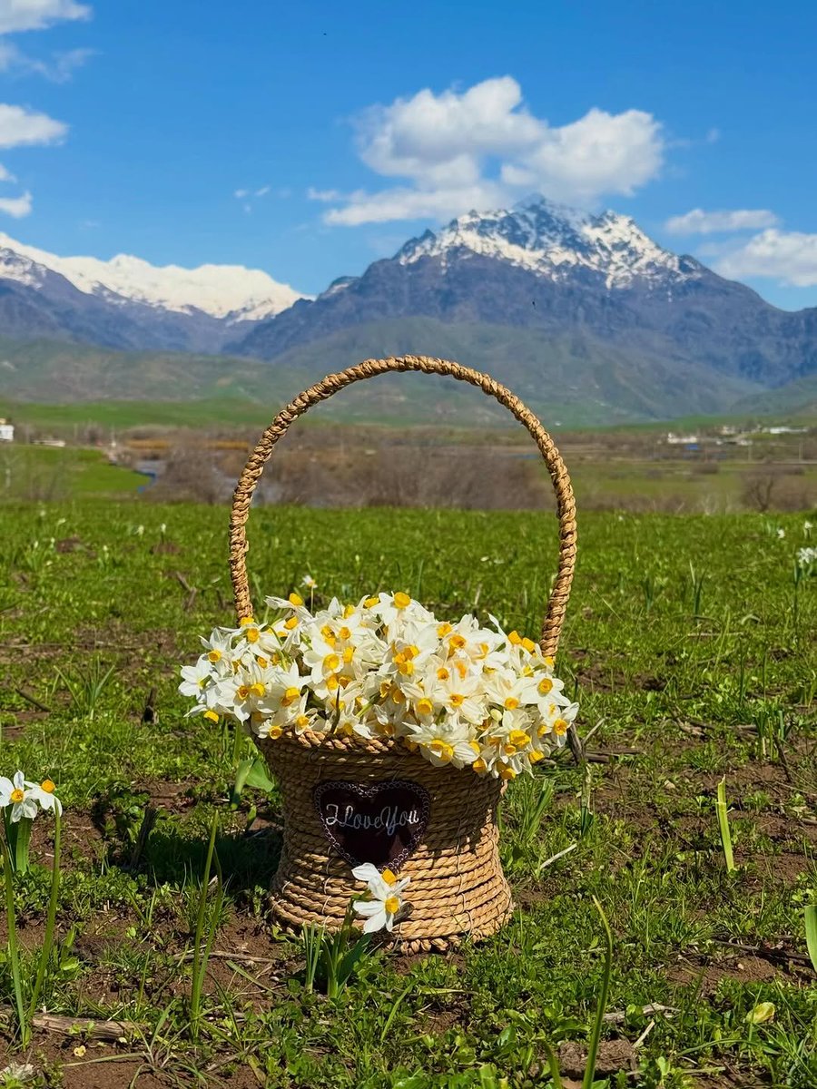 Kurdistan ⁦☀️ كوردستان tweet media