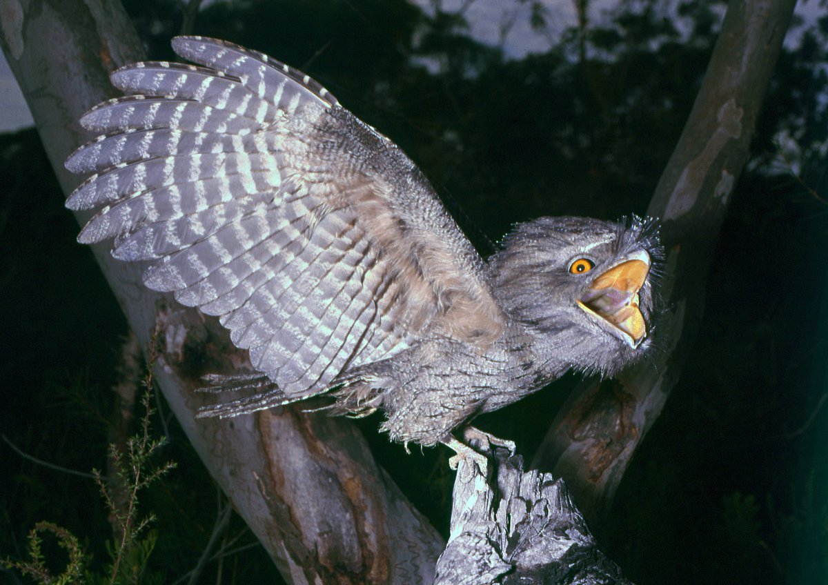 i love fishing ❤️🎣 tweet media