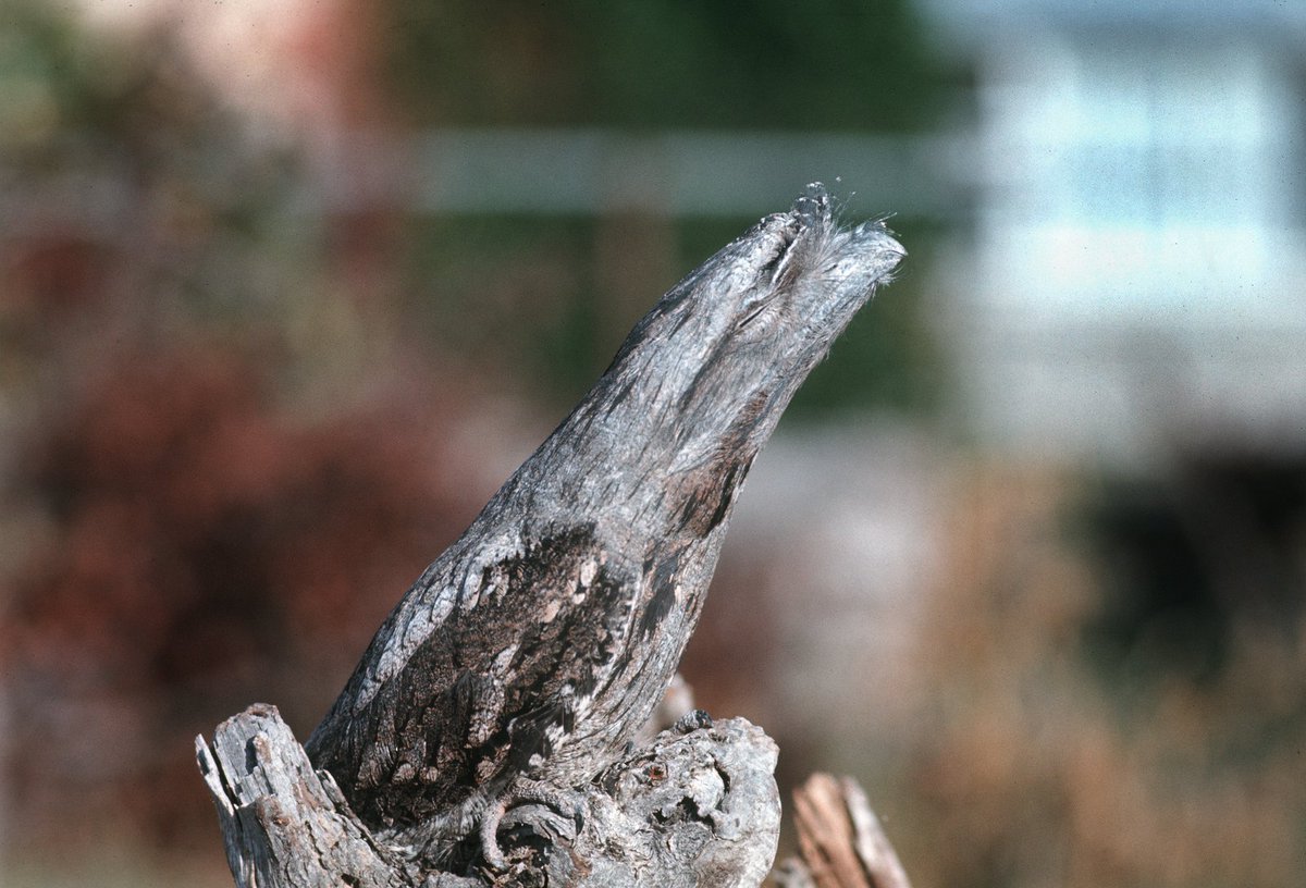 i love fishing ❤️🎣 tweet media