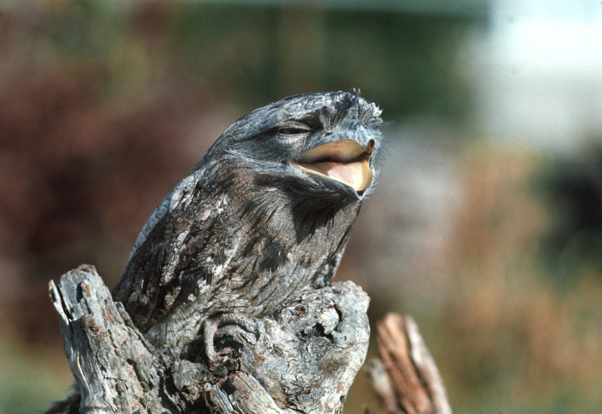 i love fishing ❤️🎣 tweet media