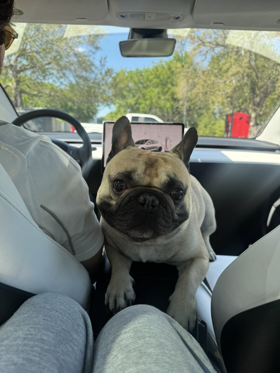 WITTLEBEARS tweet media